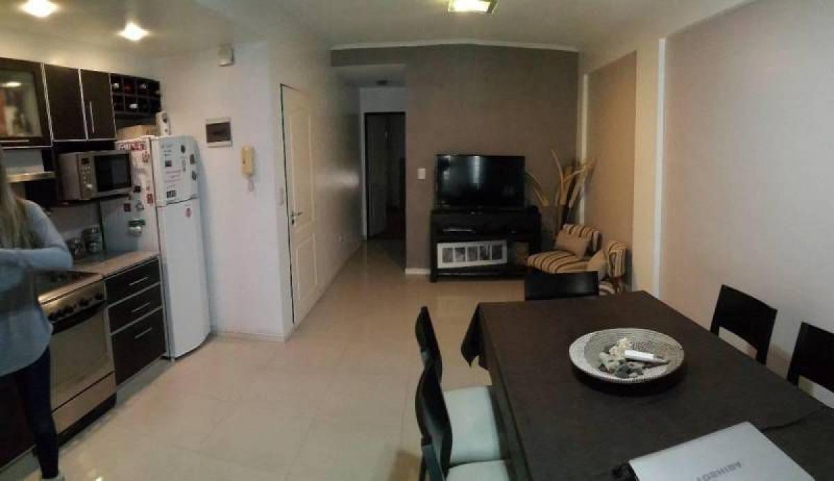 Studio in Bermudez, Argentina No. 20990