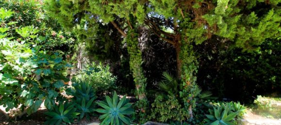 3 chambres Villa à Calpe, Spain No. 190452 4