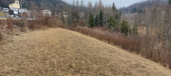 5 rooms Apartment in Pieve di Cadore, Italy No. 128005 17