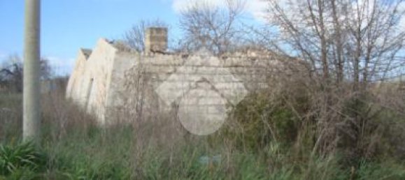 2-salle Maison à Gallipoli, Italy No. 272042 10