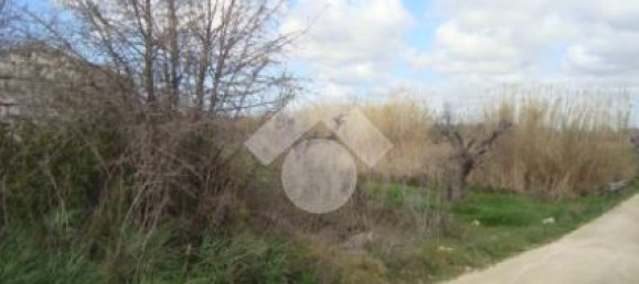 2-salle Maison à Gallipoli, Italy No. 272042 11