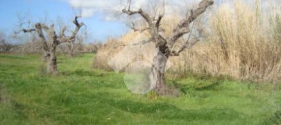 2-salle Maison à Gallipoli, Italy No. 272042 5