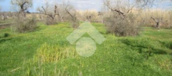 2-salle Maison à Gallipoli, Italy No. 272042 2