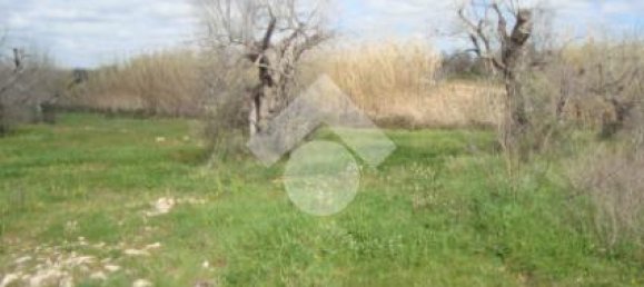 2-salle Maison à Gallipoli, Italy No. 272042 12