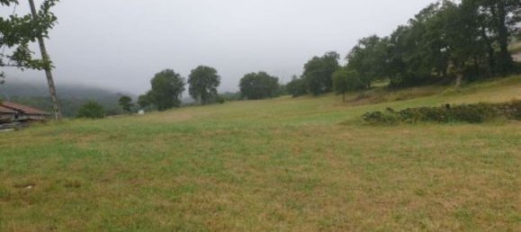 4 bedrooms House in Valle de Mena, Spain No. 69710 30