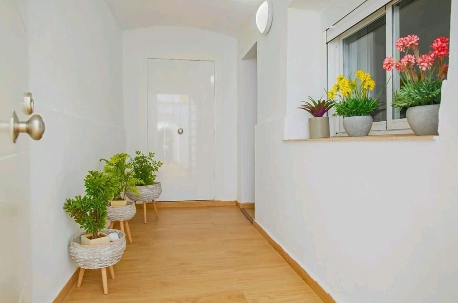 1 chambre Appartement à Merida, Spain No. 219891