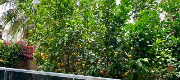 4 rooms Villa in Alanya, Turkey No. 21890 6