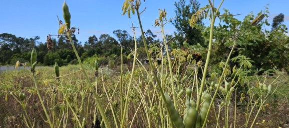 2 bedrooms House in Ouca, Portugal No. 19980 26
