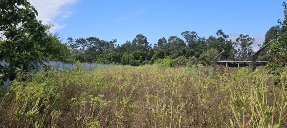 2 bedrooms House in Ouca, Portugal No. 19980 11