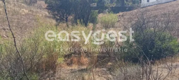 Grundstück in Tavira, Portugal, Nr. 43523 16