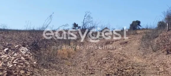 Grundstück in Tavira, Portugal, Nr. 43523 5