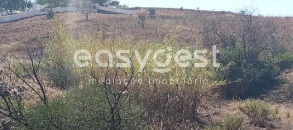 Grundstück in Tavira, Portugal, Nr. 43523 17