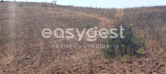 Grundstück in Tavira, Portugal, Nr. 43523 9