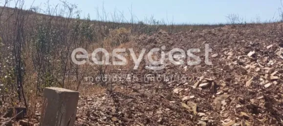 Grundstück in Tavira, Portugal, Nr. 43523 15