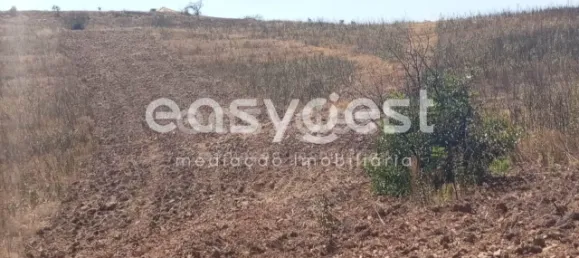 Grundstück in Tavira, Portugal, Nr. 43523 10