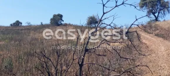 Grundstück in Tavira, Portugal, Nr. 43523 14