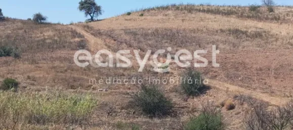 Grundstück in Tavira, Portugal, Nr. 43523 20