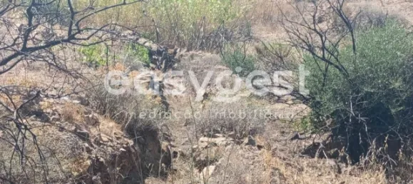 Grundstück in Tavira, Portugal, Nr. 43523 19