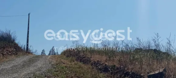 Grundstück in Tavira, Portugal, Nr. 43523 3