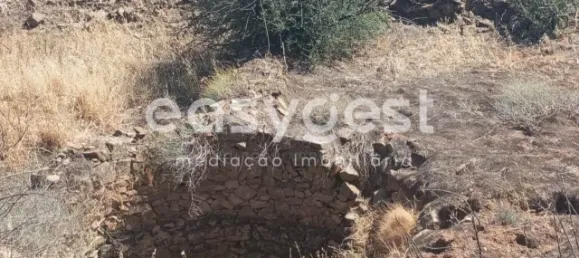 Grundstück in Tavira, Portugal, Nr. 43523 4