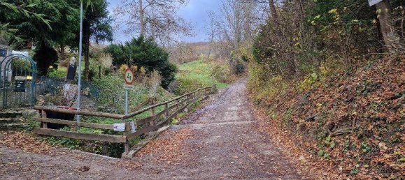 Земельный участок в Цайзельмауэр-Вольфпассинг, Австрия № 108414 6