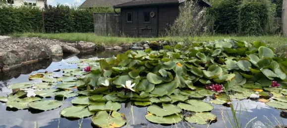 5-salle Maison à Lippe, Germany No. 235687 6