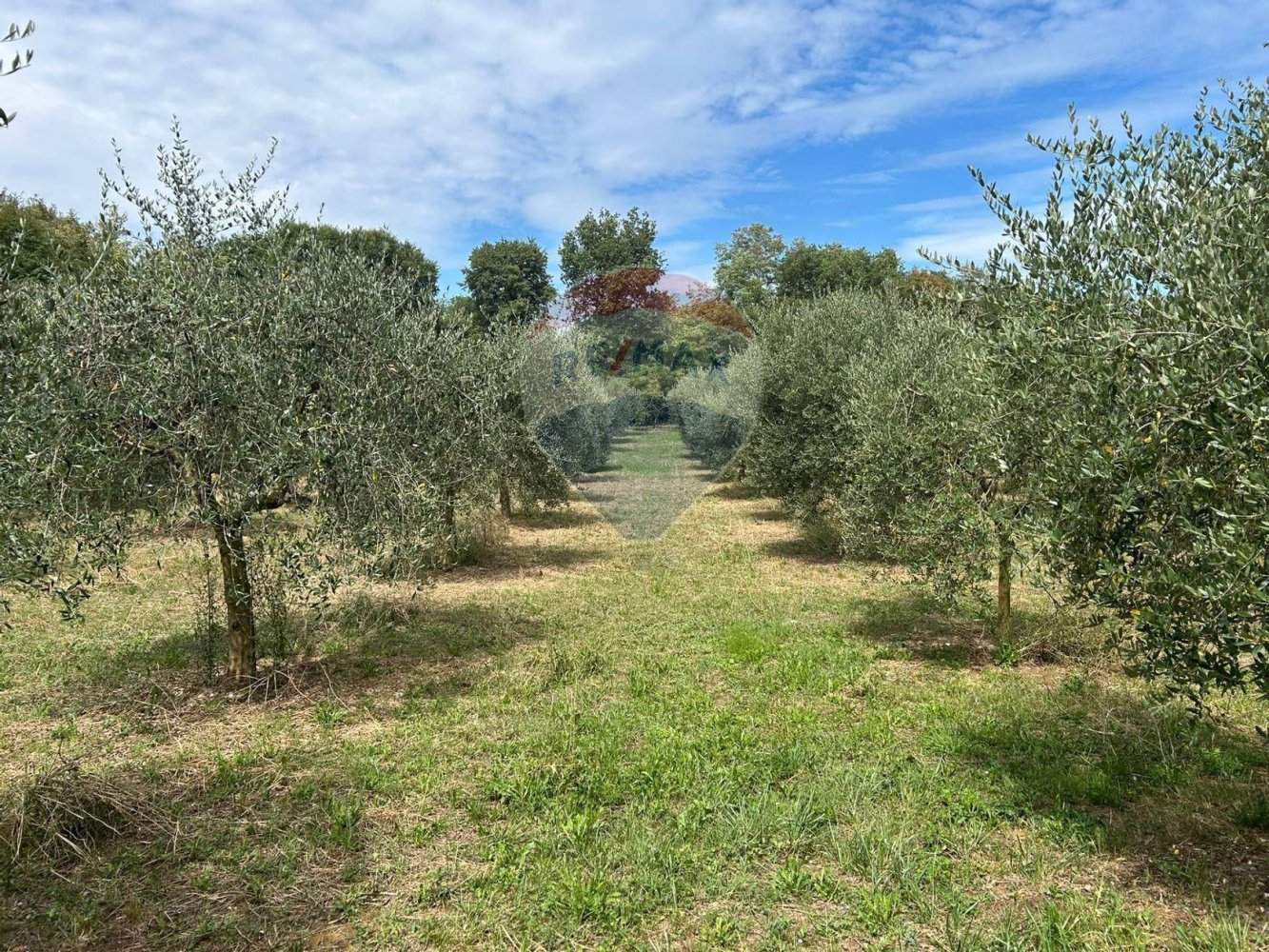 11000m² Land in Calvagese della Riviera, Italy No. 346103