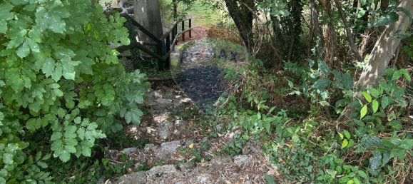 11000m² Land in Calvagese della Riviera, Italy No. 346103 12