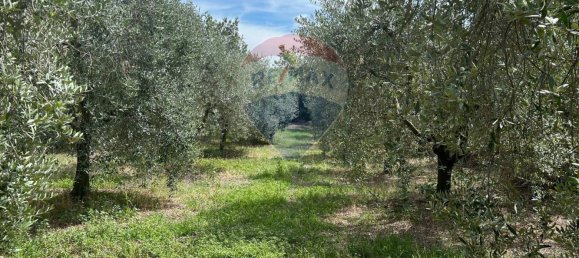 11000m² Land in Calvagese della Riviera, Italy No. 346103 6