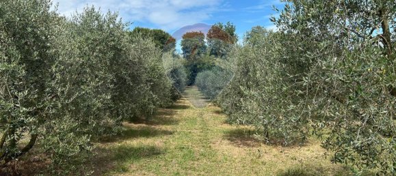 11000m² Land in Calvagese della Riviera, Italy No. 346103 7