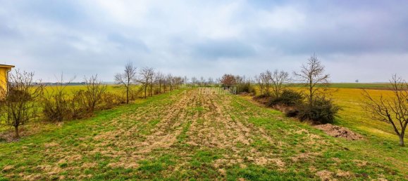 Квартира с 5 комнатами в Вилланова д'Асти, Италия № 157702 19