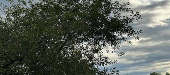 1279m² Land in Moncel-sur-Seille, France No. 75408 4