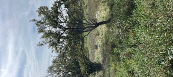 1279m² Land in Moncel-sur-Seille, France No. 75408 5