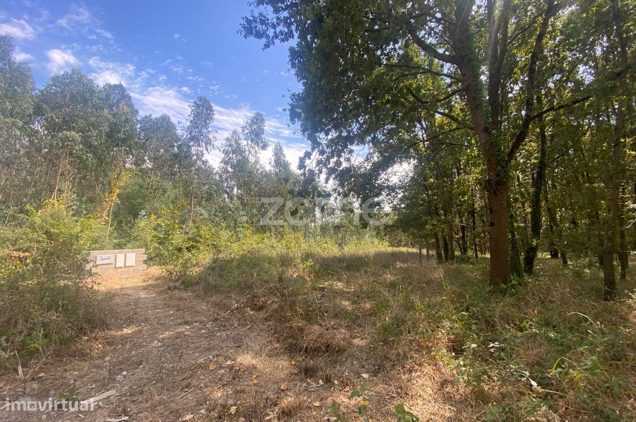 1018m² Land in Agueda, Portugal No. 332318