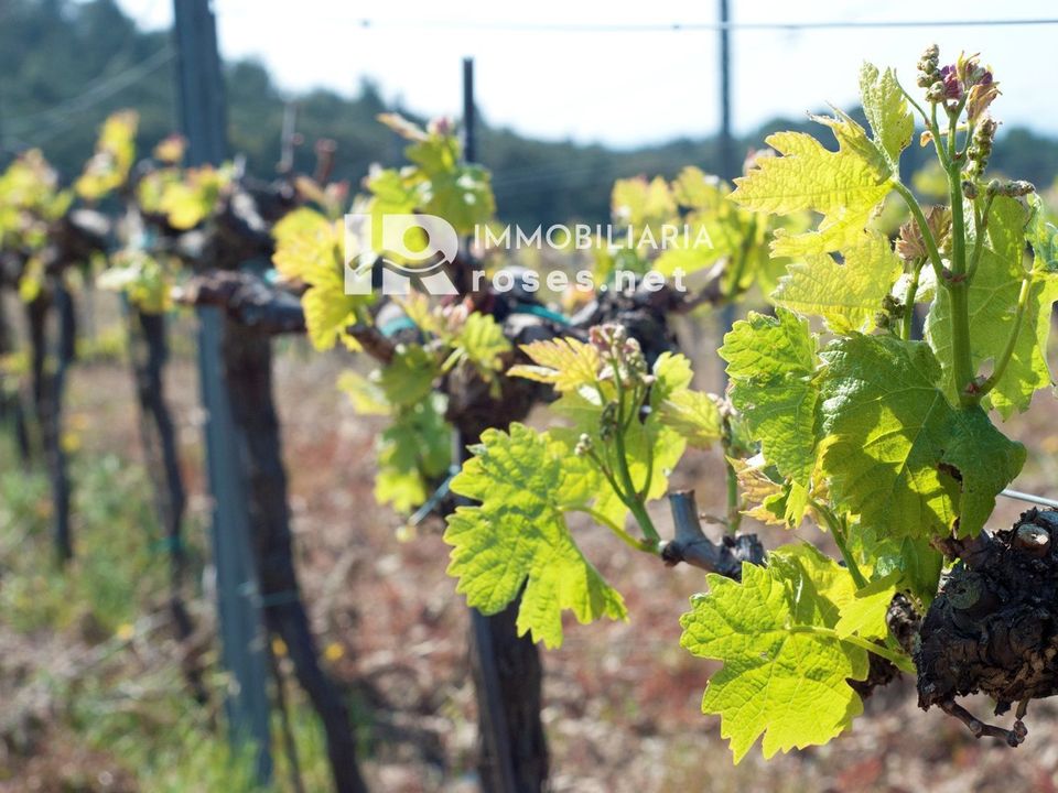  Land in Garriguella, Spain No. 179082