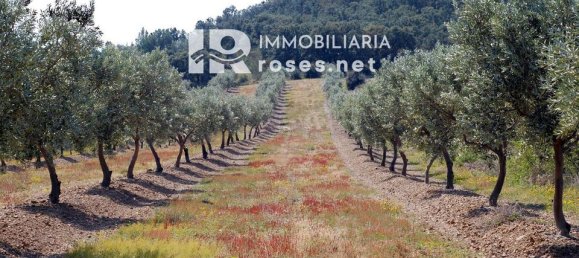  Land in Garriguella, Spain No. 179082 5