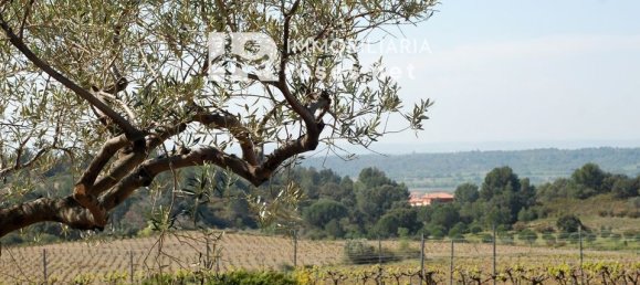 Land in Garriguella, Spain No. 179082 4