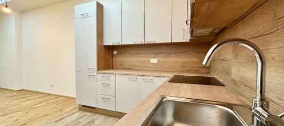 2 bedrooms Apartment in Mistelbach, Austria No. 77714 2