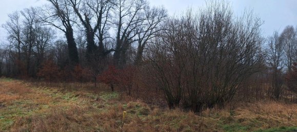 Terreno de 2 habitaciónes en Spree-Neise, Germany No. 278639 16