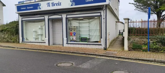 2غرفة عقار تجاري في Penestin, France رقم 202392 7