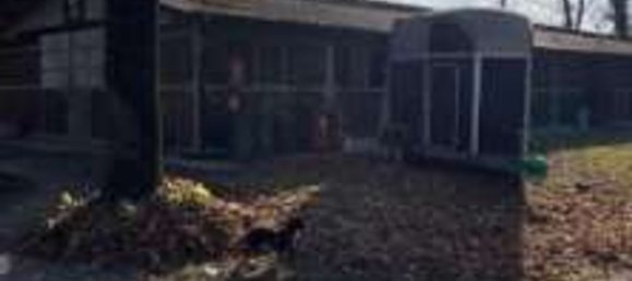 124m² Building in Sant'Angelo di Piove di Sacco, Italy No. 310592 5