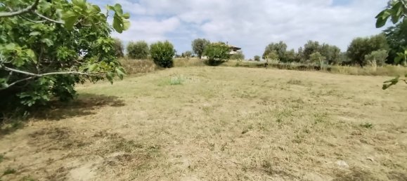 5-Zimmer Haus in Monteprandone, Italy, Nr. 147485 50