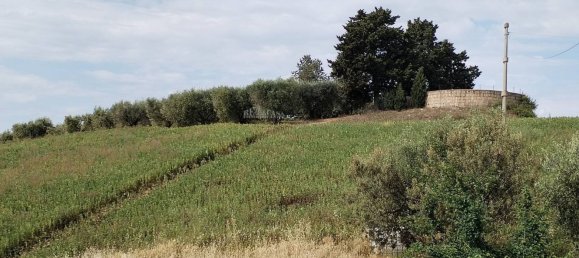 5-Zimmer Haus in Monteprandone, Italy, Nr. 147485 26