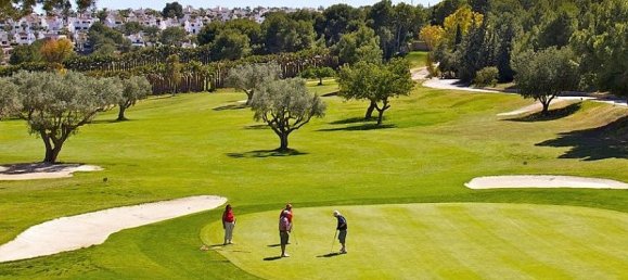 2 bedrooms Apartment in Playa Flamenca II, Spain No. 14583 19