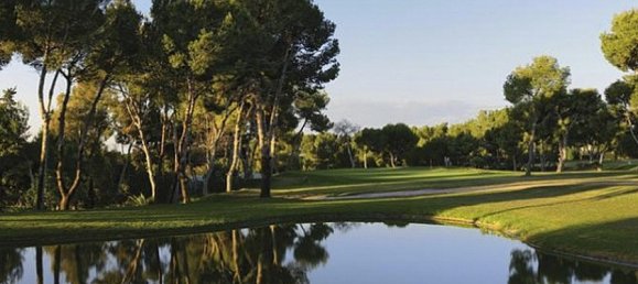 2 bedrooms Apartment in Playa Flamenca II, Spain No. 14583 18