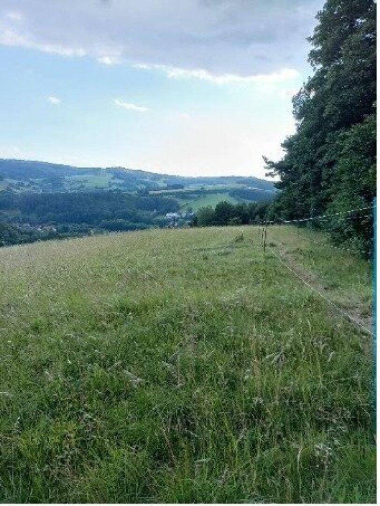 10008m² Land in Neulengbach, Austria No. 87221