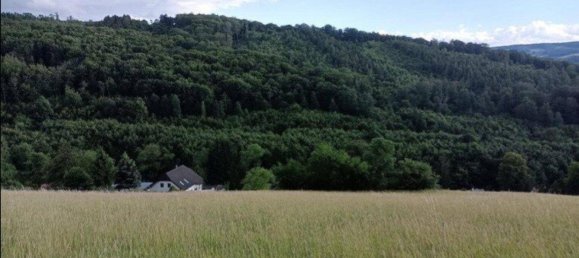 10008m² Land in Neulengbach, Austria No. 87221 4