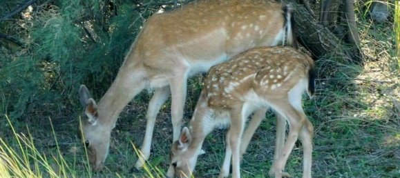 3 bedrooms Apartment in Comacchio, Italy No. 344331 23