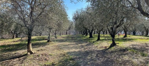 13136m² Land in Arquà Petrarca, Italy No. 60448 7