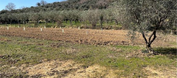 13136m² Land in Arquà Petrarca, Italy No. 60448 4